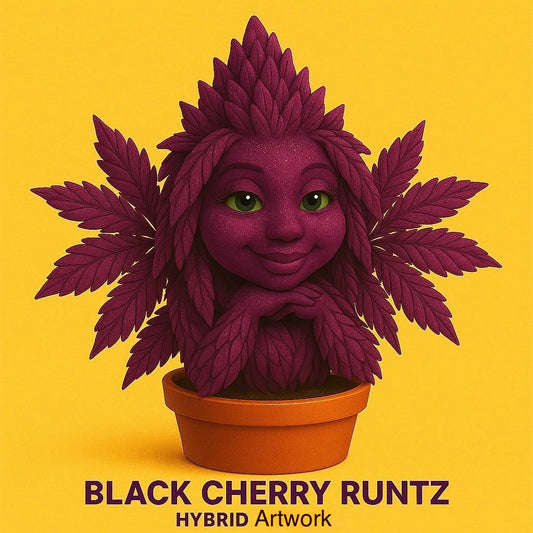 Black cherry runtz