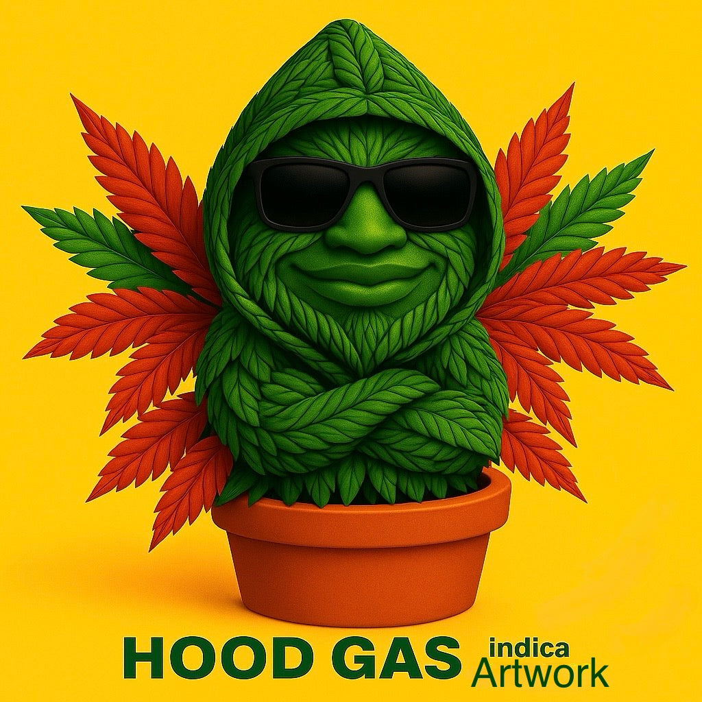 Hood Gas indica artwork
