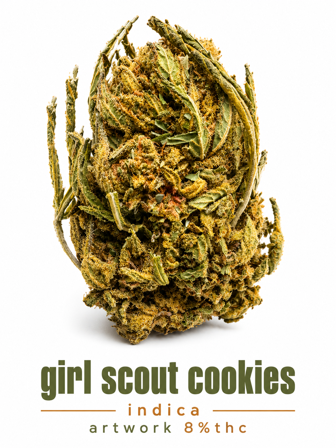 Girl Scout Cookies indica artwork 8% thc