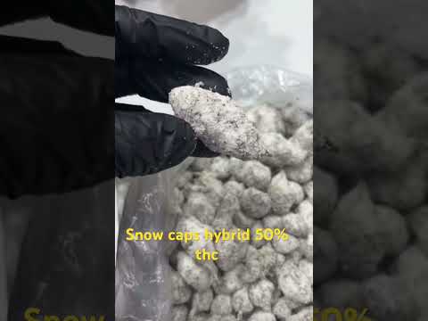 Snow Caps artwork